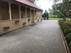 IMG_6985