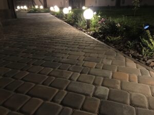 IMG_9562
