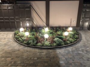 IMG_9575